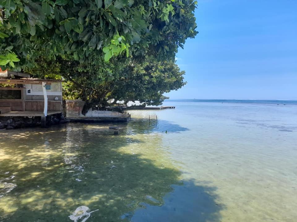 Fare Tetahora Villa Tevaitoa Dış mekan fotoğraf
